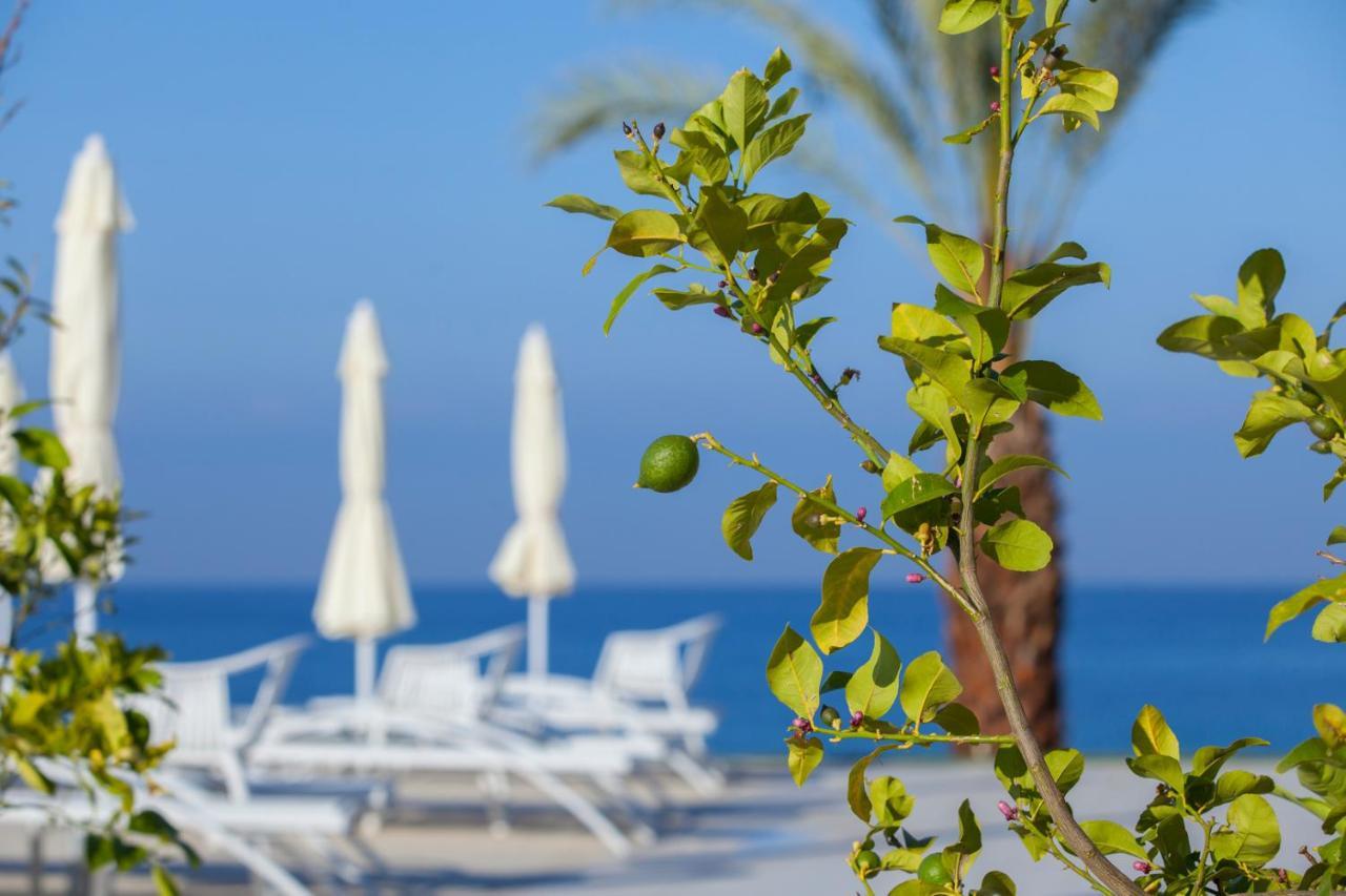 King Evelthon Beach Hotel & Resort Pafos Zewnętrze zdjęcie